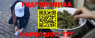 трава Славгород